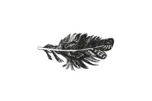 Feather Intricate: A Designer's Review for Seasonal Embroidery